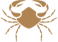 Scorpio